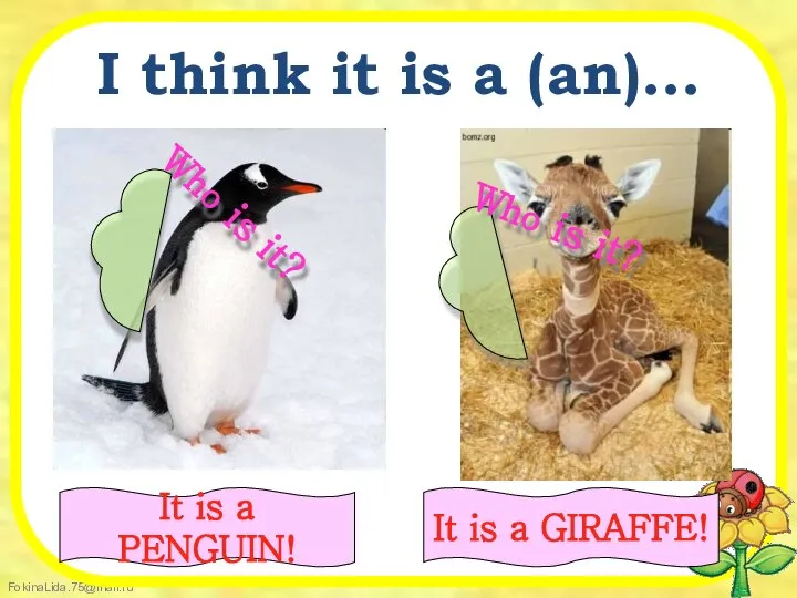 I think it is a (an)... It is a PENGUIN! Who