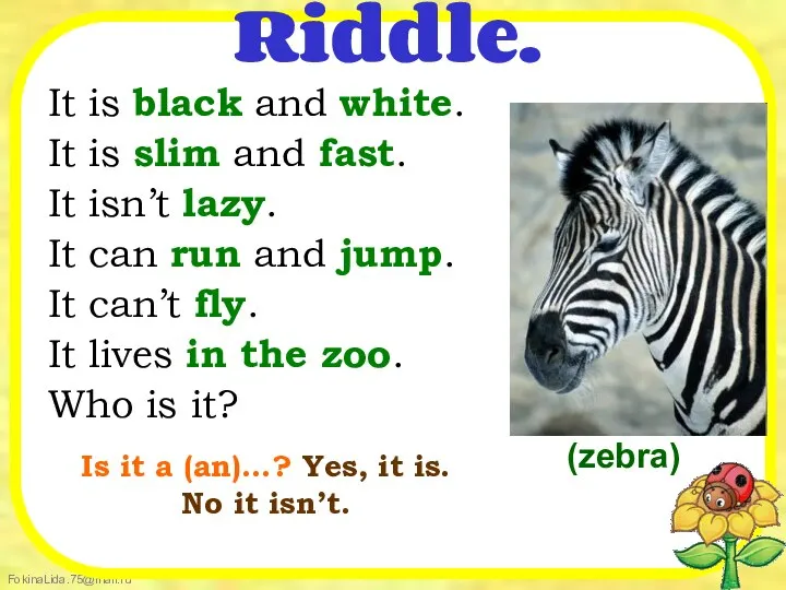 Riddle. It is black and white. It is slim and fast.