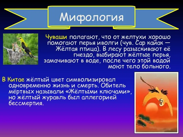 Мифология Чуваши полагают, что от желтухи хорошо помогают перья иволги (чув.