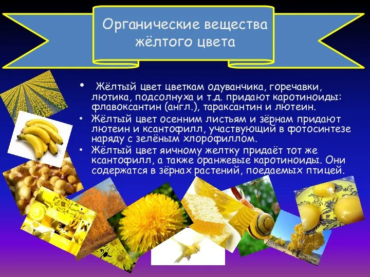 Органические вещества жёлтого цвета Жёлтый цвет цветкам одуванчика, горечавки, лютика, подсолнуха