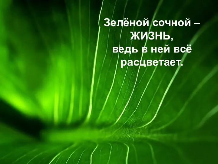 Зелёной сочной – ЖИЗНЬ, ведь в ней всё расцветает.