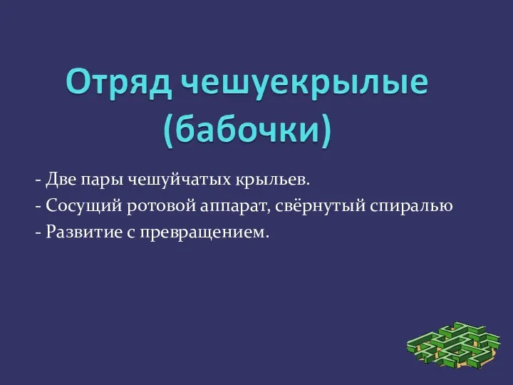 - Две пары чешуйчатых крыльев. - Сосущий ротовой аппарат, свёрнутый спиралью - Развитие с превращением.