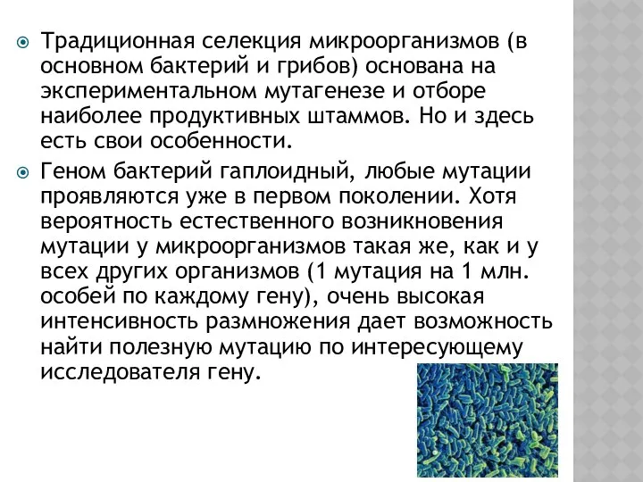 Традиционная селекция микроорганизмов (в основном бактерий и грибов) основана на экспериментальном