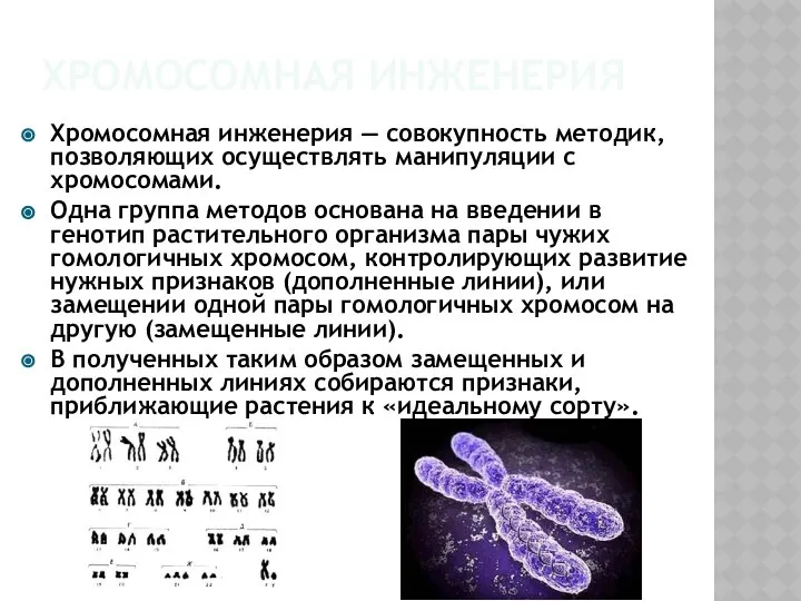 Хромосомная инженерия Хромосомная инженерия — совокупность методик, позволяющих осуществлять манипуляции с