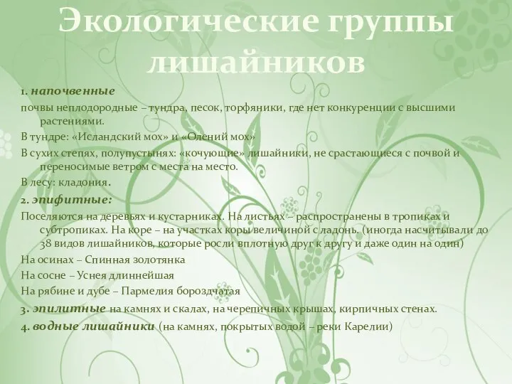 Экологические группы лишайников 1. напочвенные почвы неплодородные – тундра, песок, торфяники,