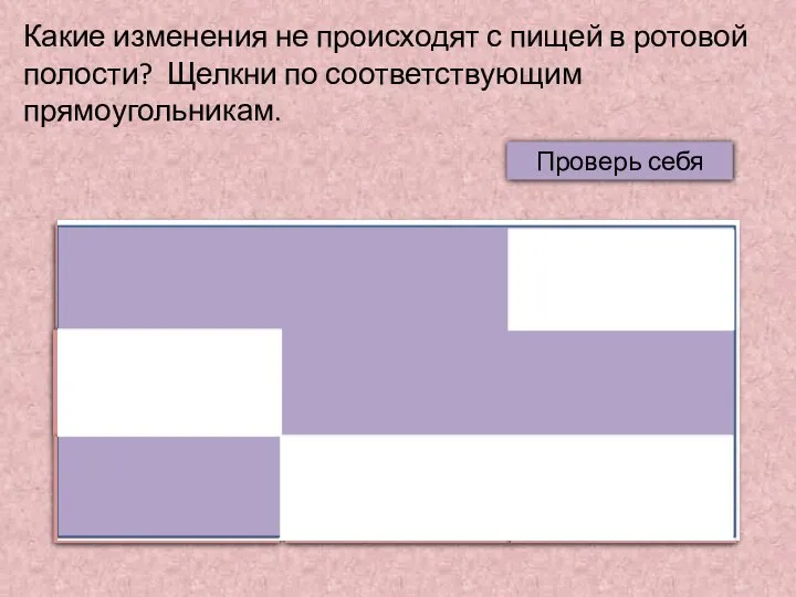 Какие изменения не происходят с пищей в ротовой полости? Щелкни по