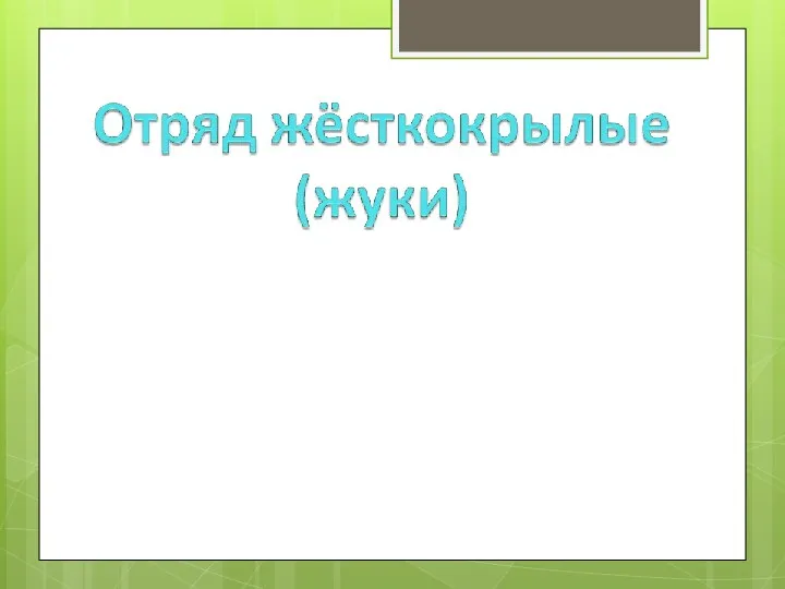 -Первая пара крыльев - хитиновые надкрылья. - Вторая пара – перепончатые