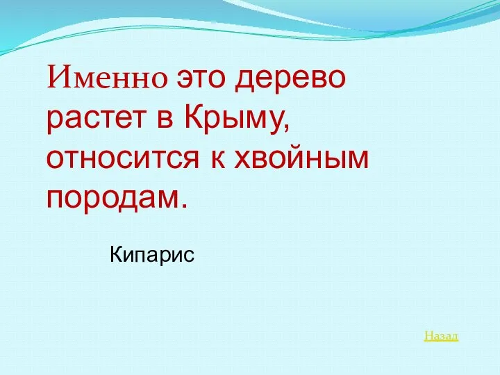 Назад Именно это дерево растет в Крыму, относится к хвойным породам. Кипарис