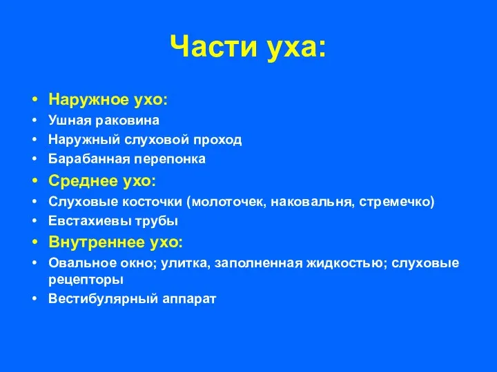 Части уха: Наружное ухо: Ушная раковина Наружный слуховой проход Барабанная перепонка