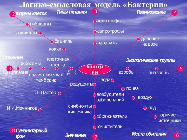 бактерии Логико-смысловая модель «Бактерии» 1 2 8 3 7 5 4