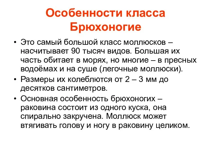 Особенности класса Брюхоногие Это самый большой класс моллюсков – насчитывает 90