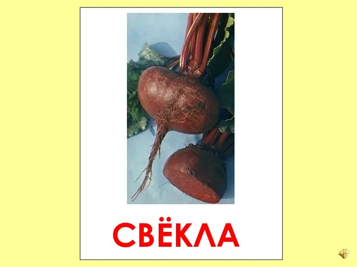 СВЁКЛА