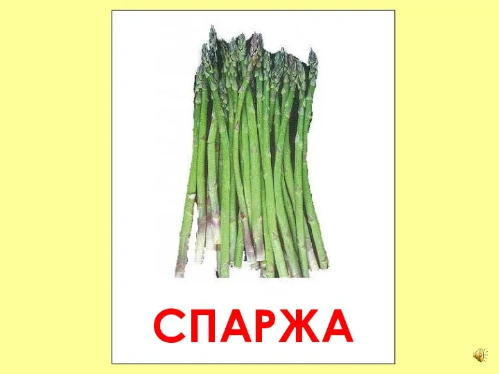 СПАРЖА