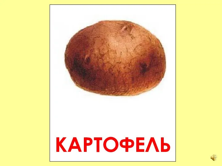 КАРТОФЕЛЬ