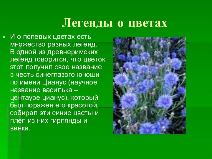 Легенды о цветах И о полевых цветах есть множество разных легенд.