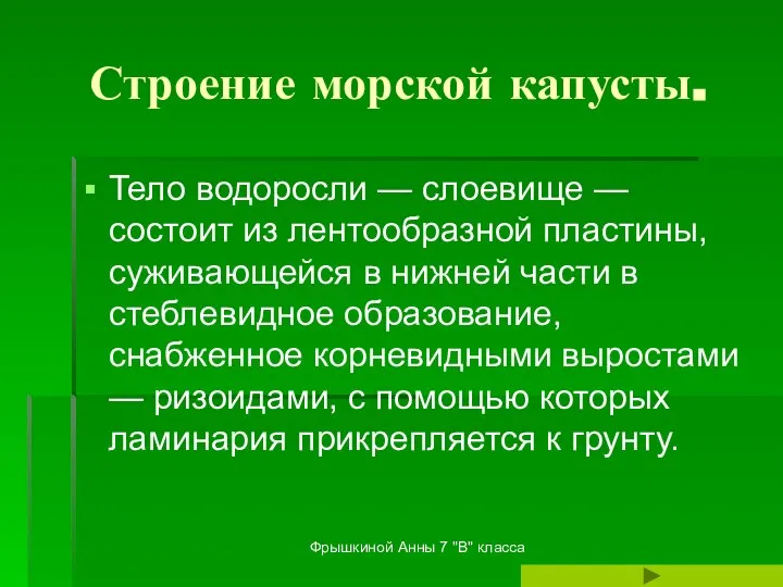 Фрышкиной Анны 7 "В" класса Строение морской капусты. Тело водоросли —