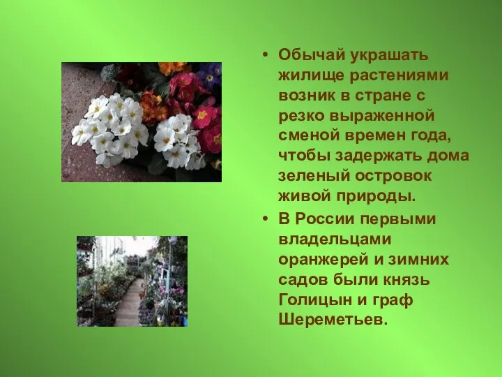 Обычай украшать жилище растениями возник в стране с резко выраженной сменой