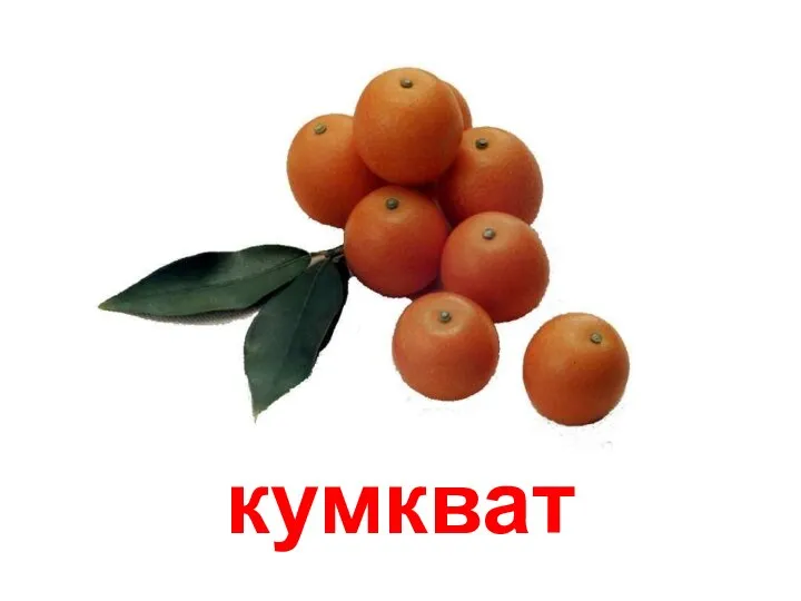 кумкват