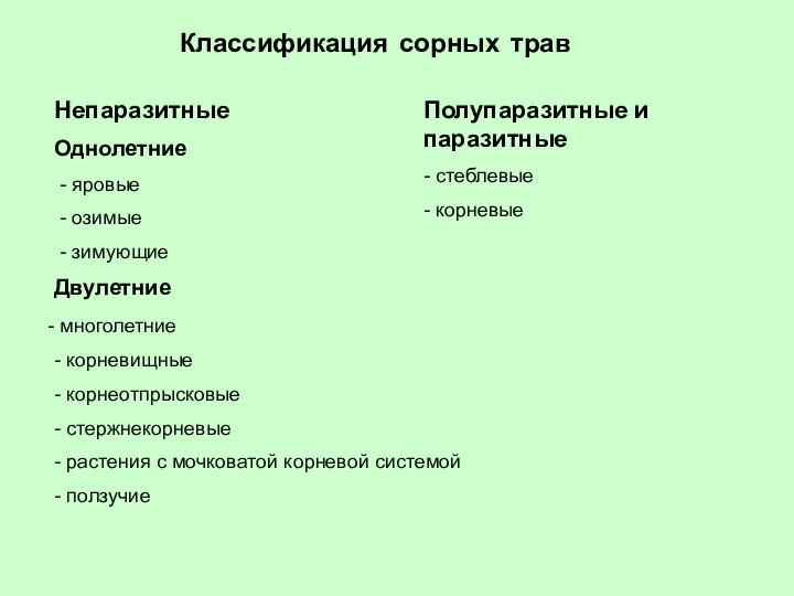 Классификация сорных трав Непаразитные Однолетние - яровые - озимые - зимующие