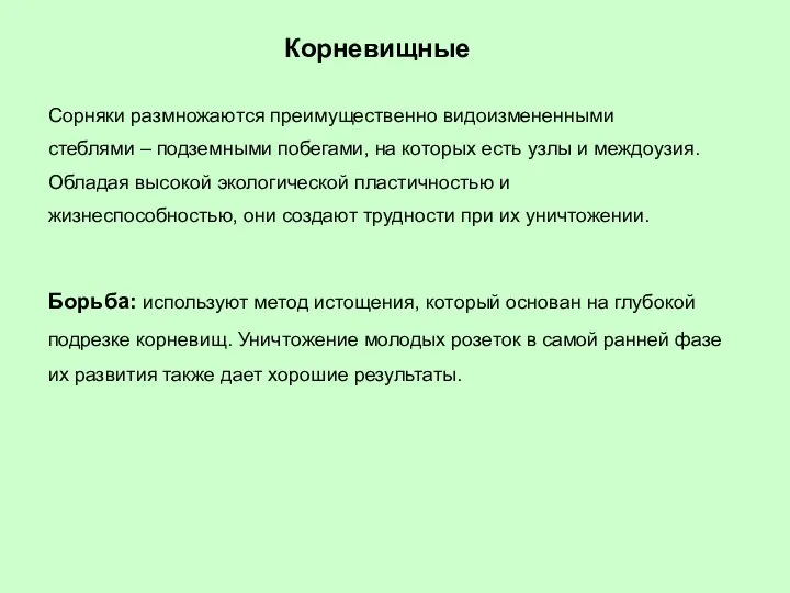 Корневищные Сорняки размножаются преимущественно видоизмененными стеблями – подземными побегами, на которых