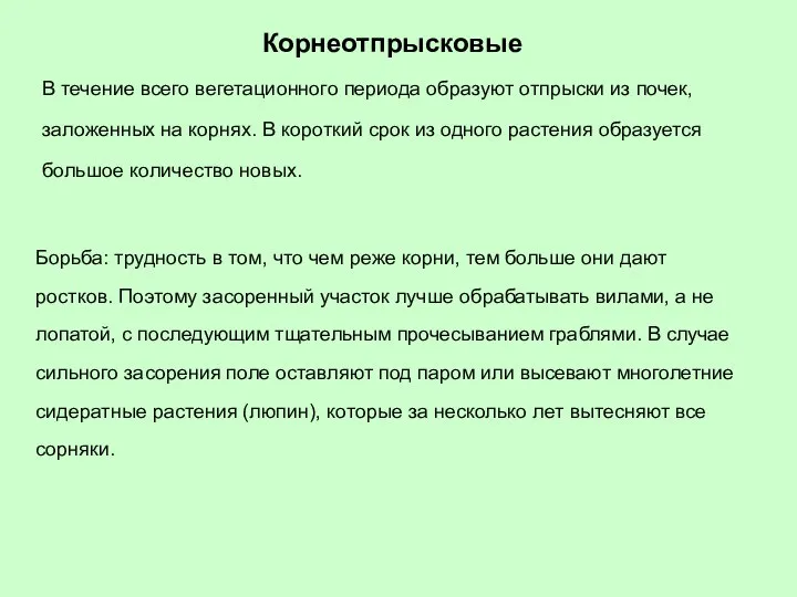 Корнеотпрысковые В течение всего вегетационного периода образуют отпрыски из почек, заложенных