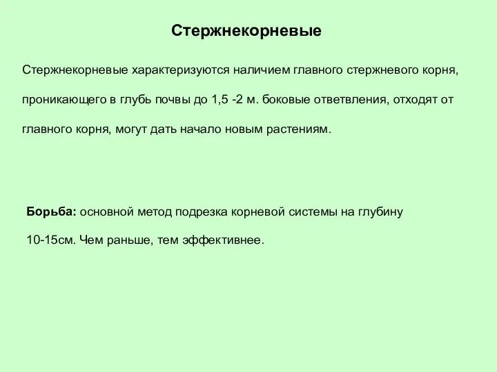 Стержнекорневые характеризуются наличием главного стержневого корня, проникающего в глубь почвы до