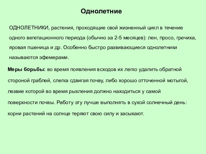 Однолетние ОДНОЛЕТНИКИ, растения, проходящие свой жизненный цикл в течение одного вегетационного