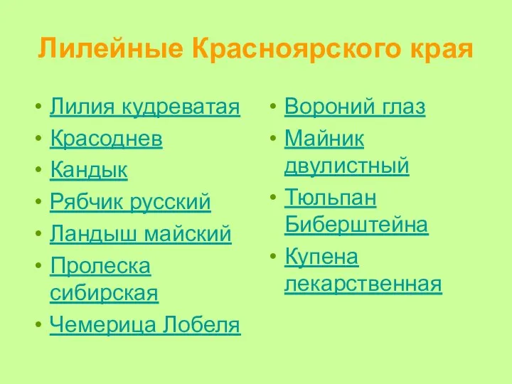 Лилейные Красноярского края Лилия кудреватая Красоднев Кандык Рябчик русский Ландыш майский