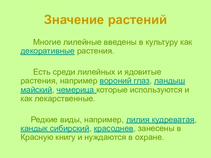 Значение растений Многие лилейные введены в культуру как декоративные растения. Есть