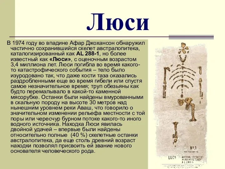 Люси В 1974 году во впадине Афар Джохансон обнаружил частично сохранившийся