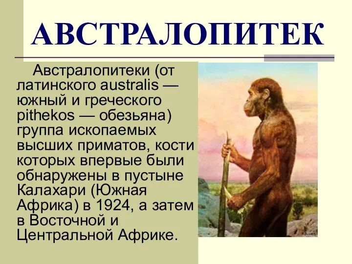 АВСТРАЛОПИТЕК Австралопитеки (от латинского australis — южный и греческого pithеkos —