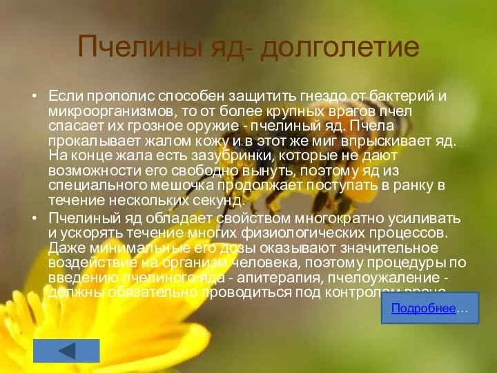 Пчелины яд- долголетие Если прополис способен защитить гнездо от бактерий и