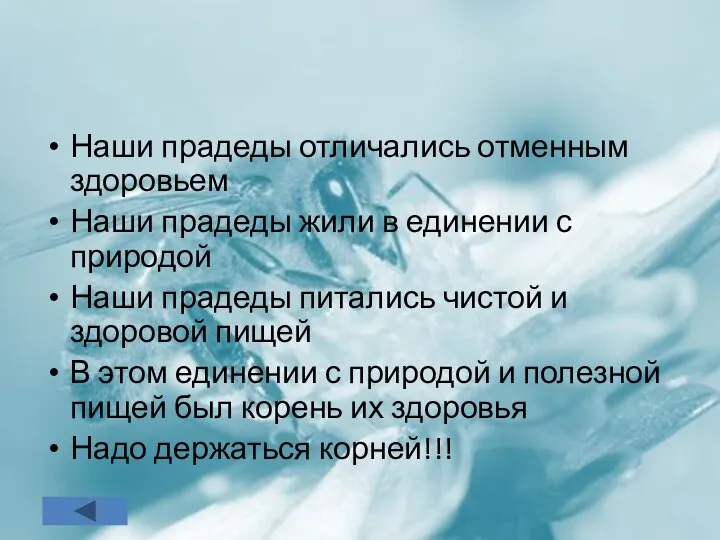 Наши прадеды отличались отменным здоровьем Наши прадеды жили в единении с