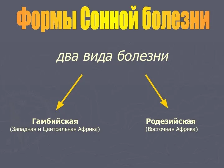 два вида болезни Формы Сонной болезни Гамбийская (Западная и Центральная Африка) Родезийская (Восточная Африка)