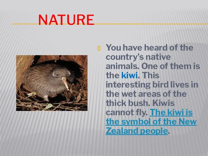 Nature You have heard of the country’s native animals. One of