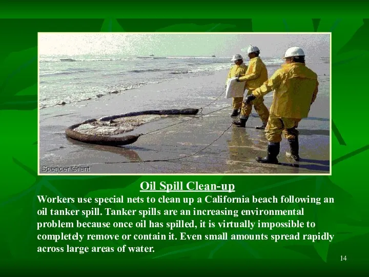 Oil Spill Clean-up Workers use special nets to clean up a