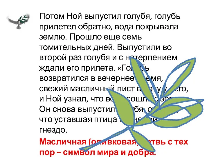 Потом Ной выпустил голубя, голубь прилетел обратно, вода покрывала землю. Прошло