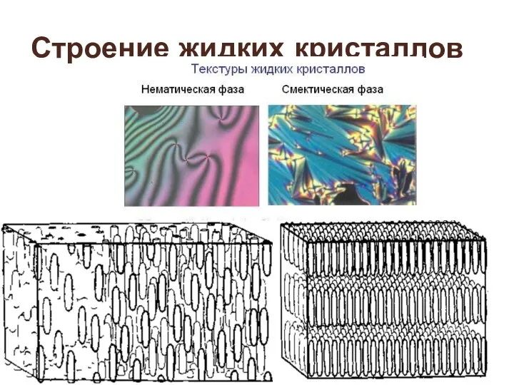 Строение жидких кристаллов