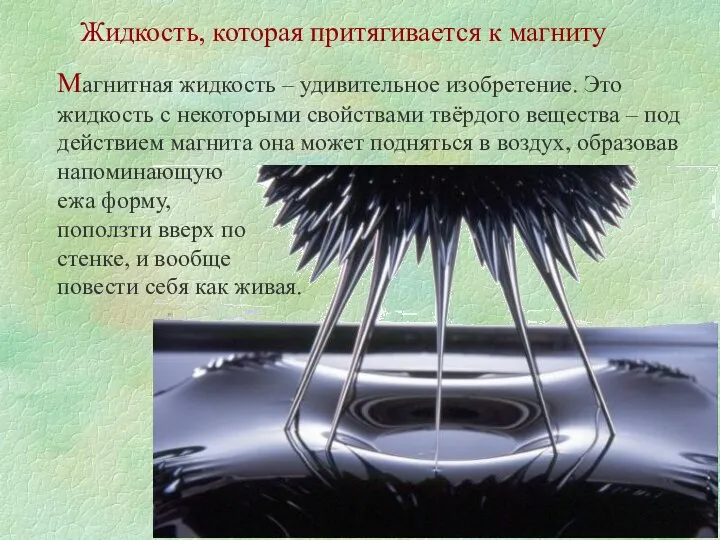 Жидкость, которая притягивается к магниту Магнитная жидкость – удивительное изобретение. Это