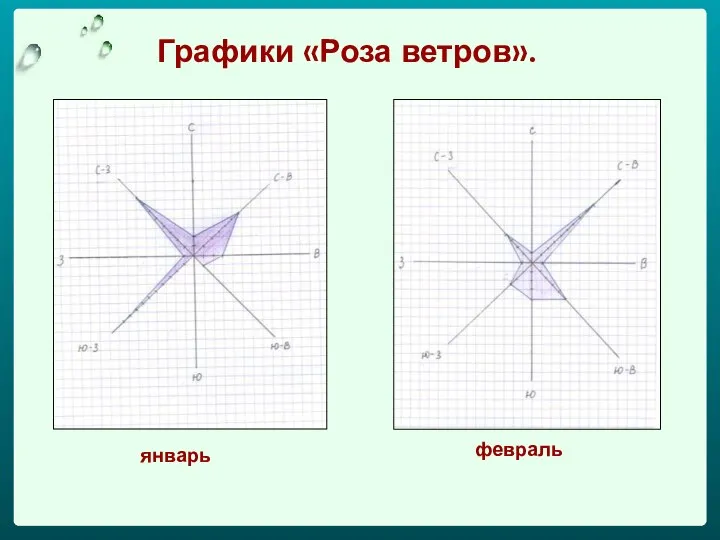 Графики «Роза ветров». январь февраль