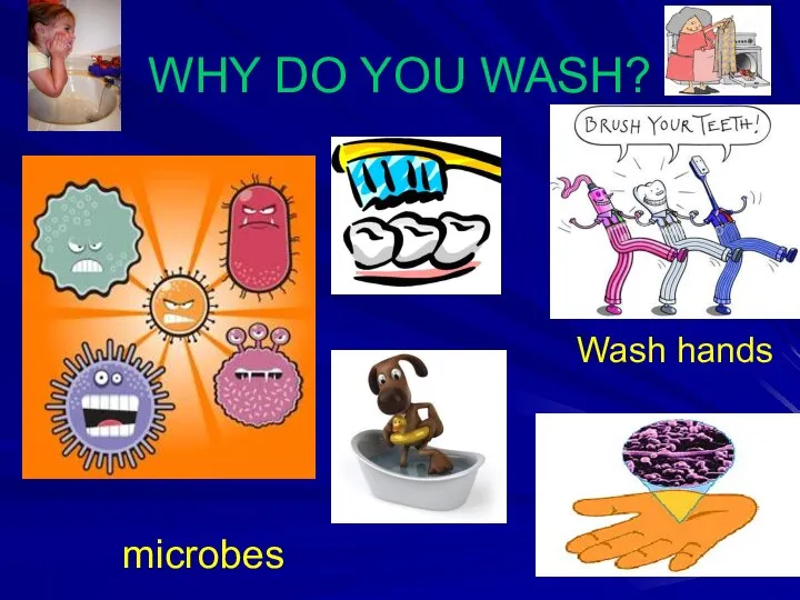 WHY DO YOU WASH? microbes Wash hands