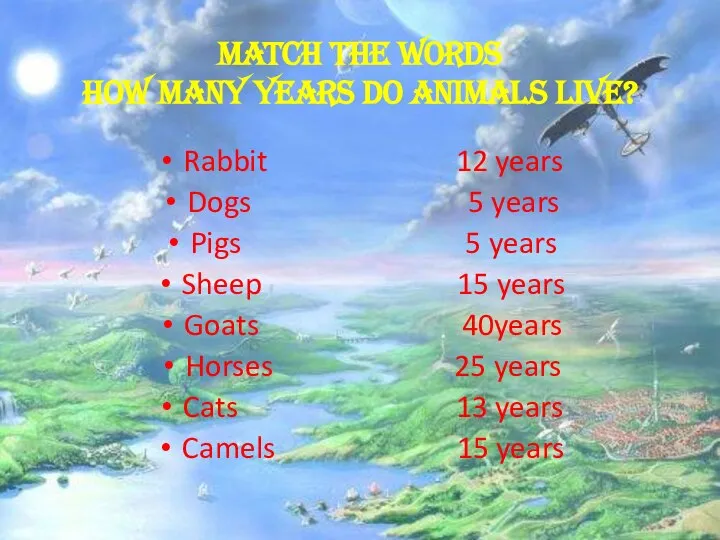 Match the words How many years do animals live? Rabbit 12