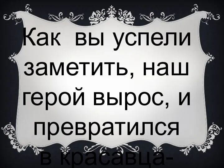 Как вы успели заметить, наш герой вырос, и превратился в красавца-мужчину