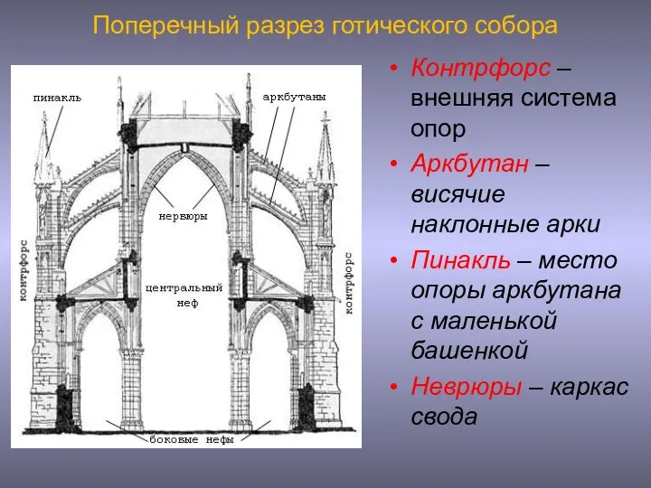 Поперечный разрез готического собора Контрфорс – внешняя система опор Аркбутан –