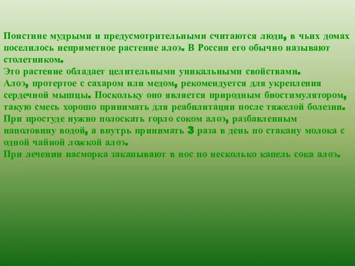 Поистине мудрыми и предусмотрительными считаются люди, в чьих домах поселилось неприметное