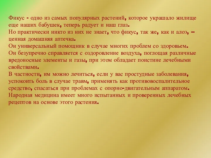 Фикус - одно из самых популярных растений, которое украшало жилище еще