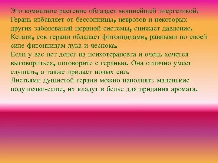 Это комнатное растение обладает мощнейшей энергетикой. Герань избавляет от бессонницы, неврозов