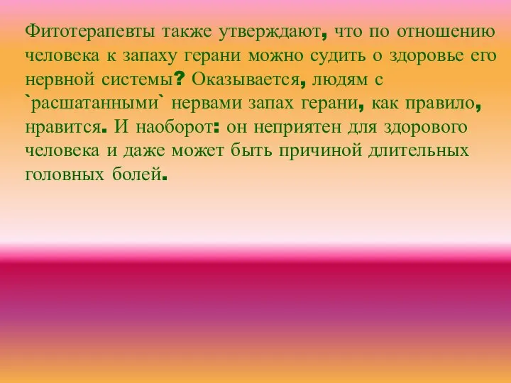 Фитотерапевты также утверждают, что по отношению человека к запаху герани можно