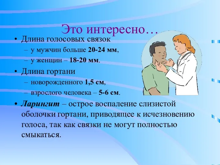 Это интересно… Длина голосовых связок у мужчин больше 20-24 мм, у