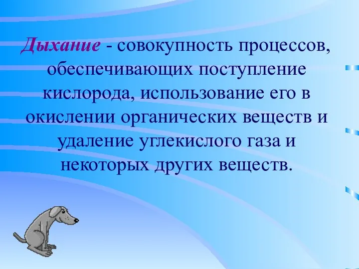 Дыхание - совокупность процессов, обеспечивающих поступление кислорода, использование его в окислении